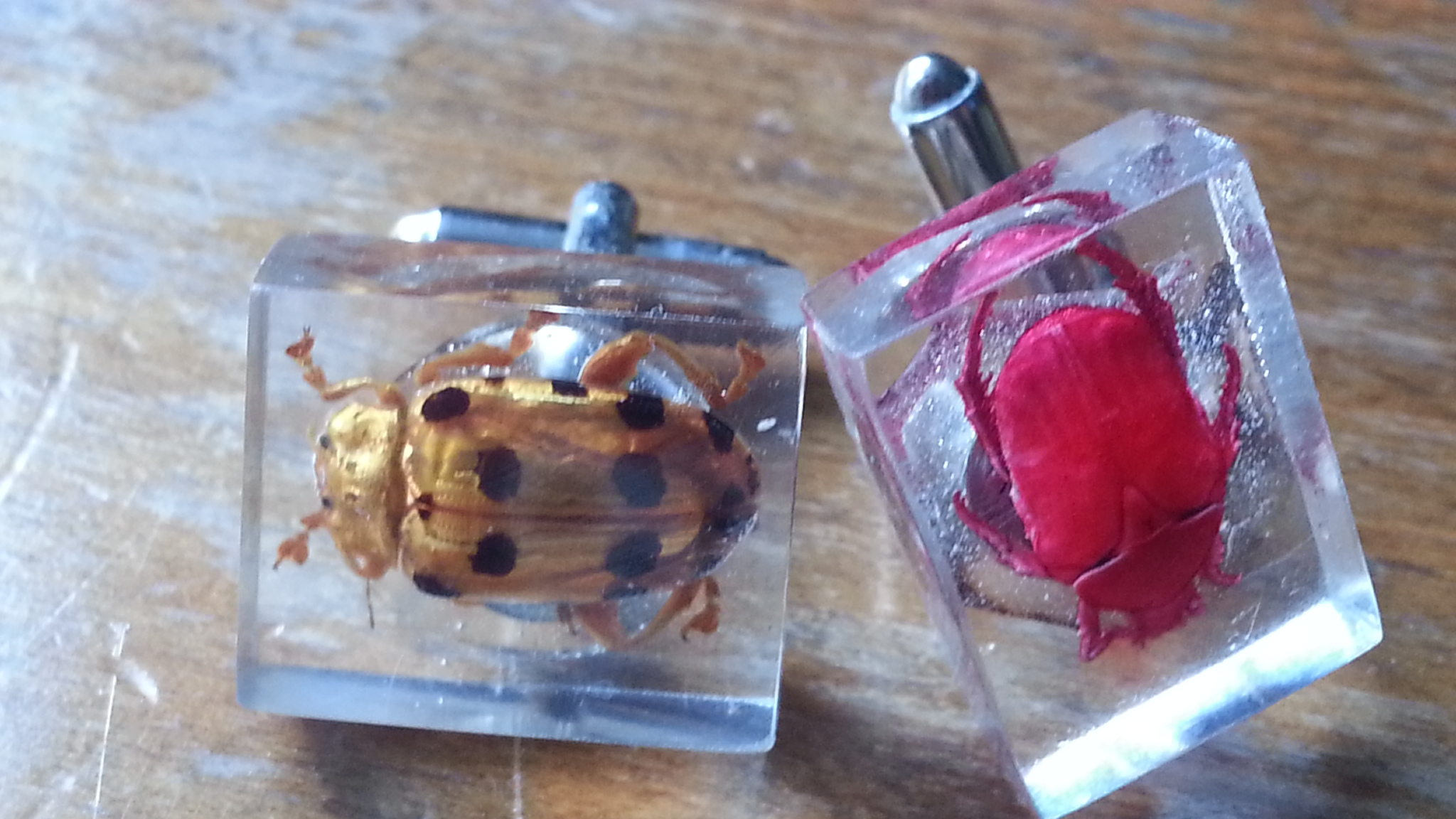 Taxidermy bug cuff-links