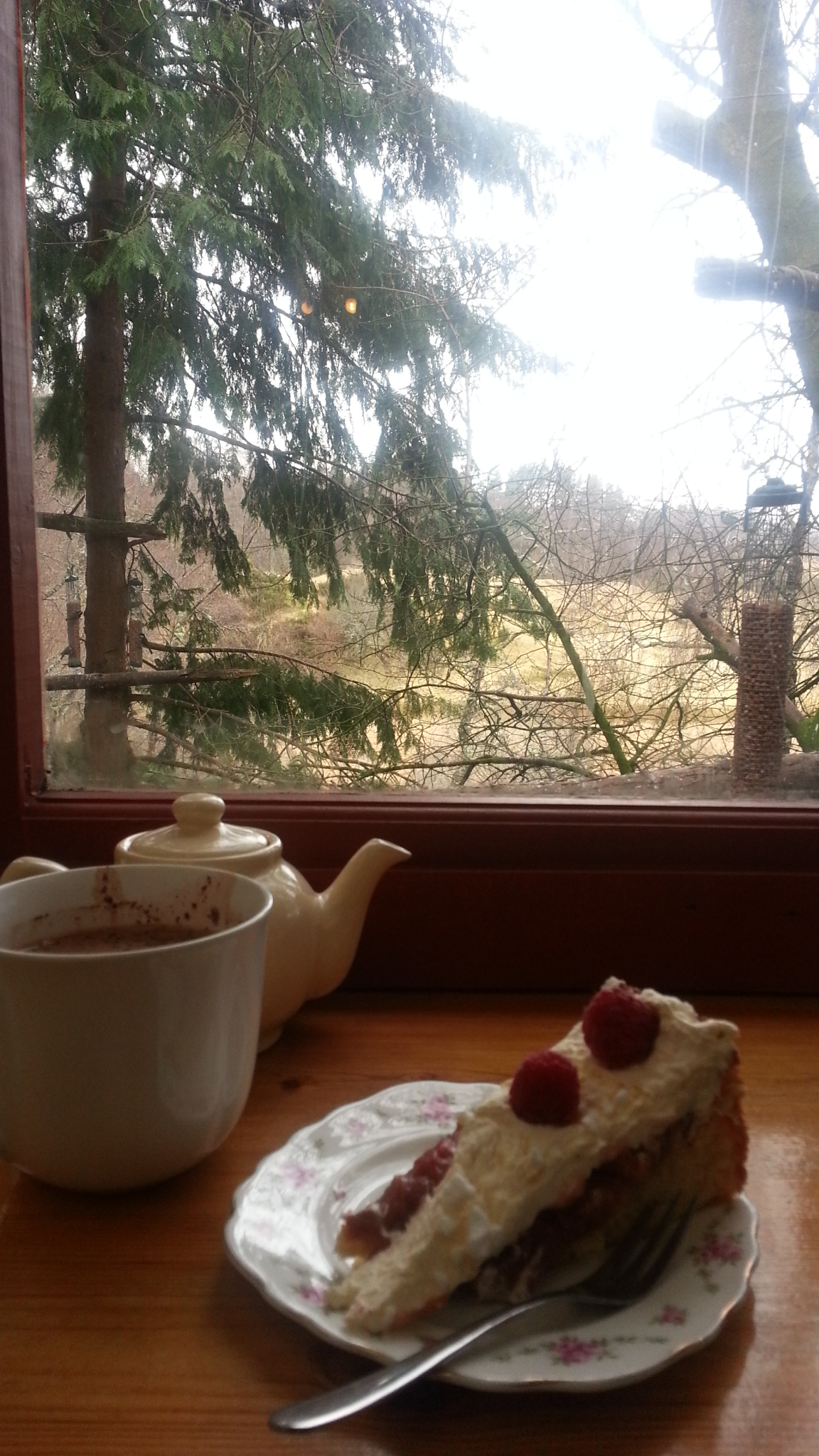 Cake with a view at The Potting Shed