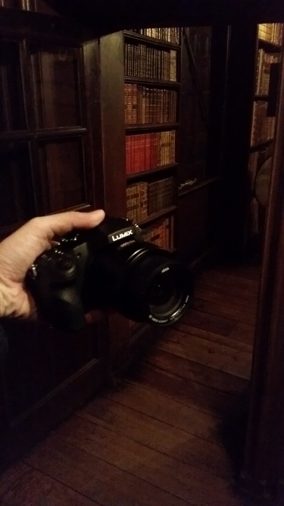 Panasonic camera at Ham House