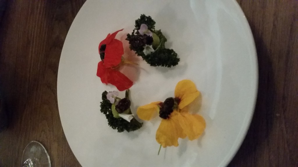 Insects, Flowers, Avocados and Crispy Kale