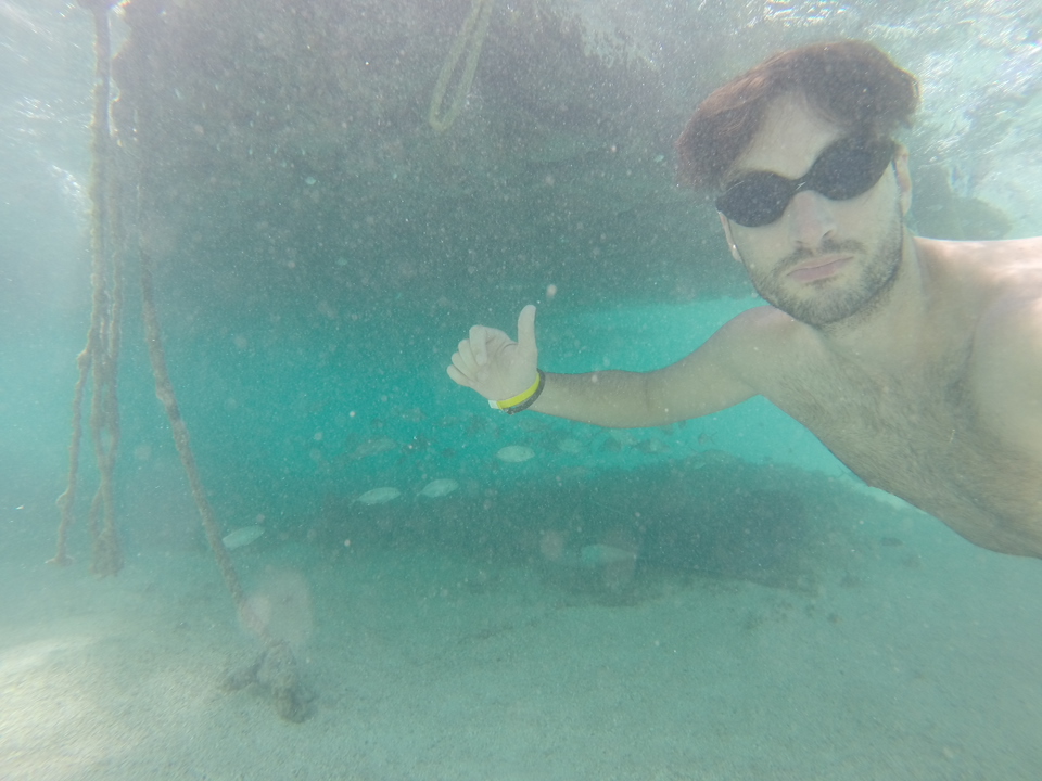 A visit to Stingray City Antigua