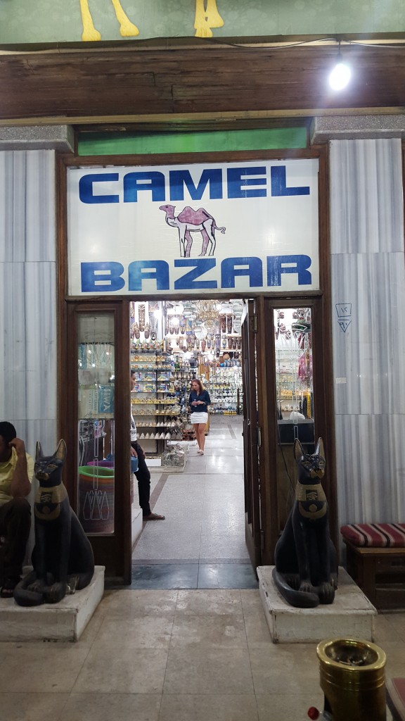 Egypt_Sharm_El_Sheikh_November_2015_Camel_Bzar_Old_Sharm_Market