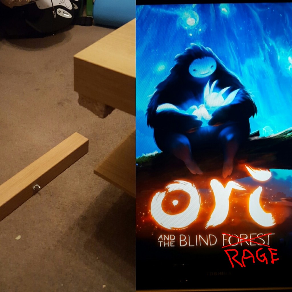 03_Ori_and_the_blind_forest_Rage_Water_Escape