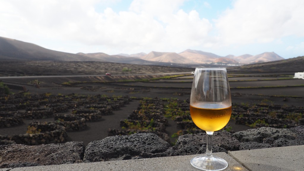 Wine tour lanzarote wine