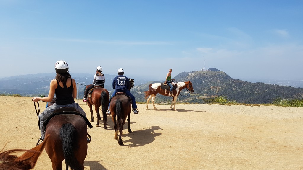 Sunset ranch horse riding