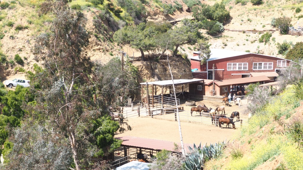 Sunset Ranch Hollywood Horse Riding