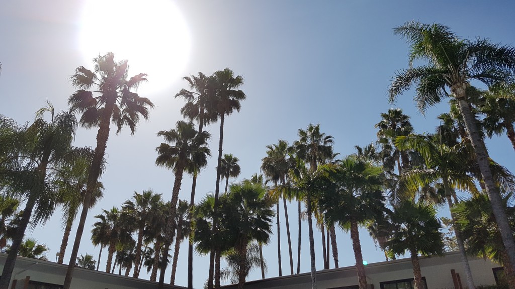 Hollywood Roosevelt Hotel pool