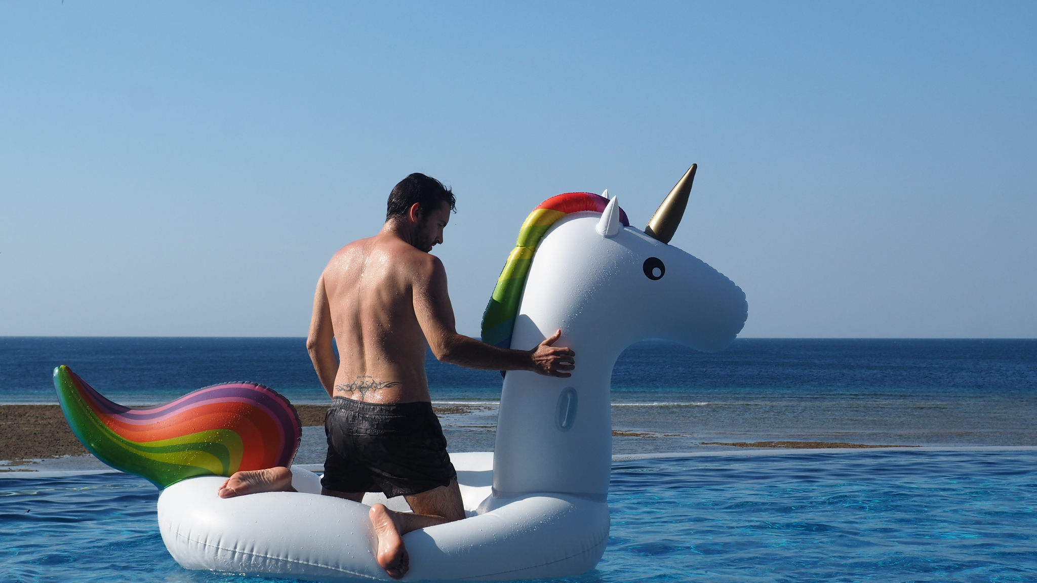 Travels with my inflatable unicorn from Amazon