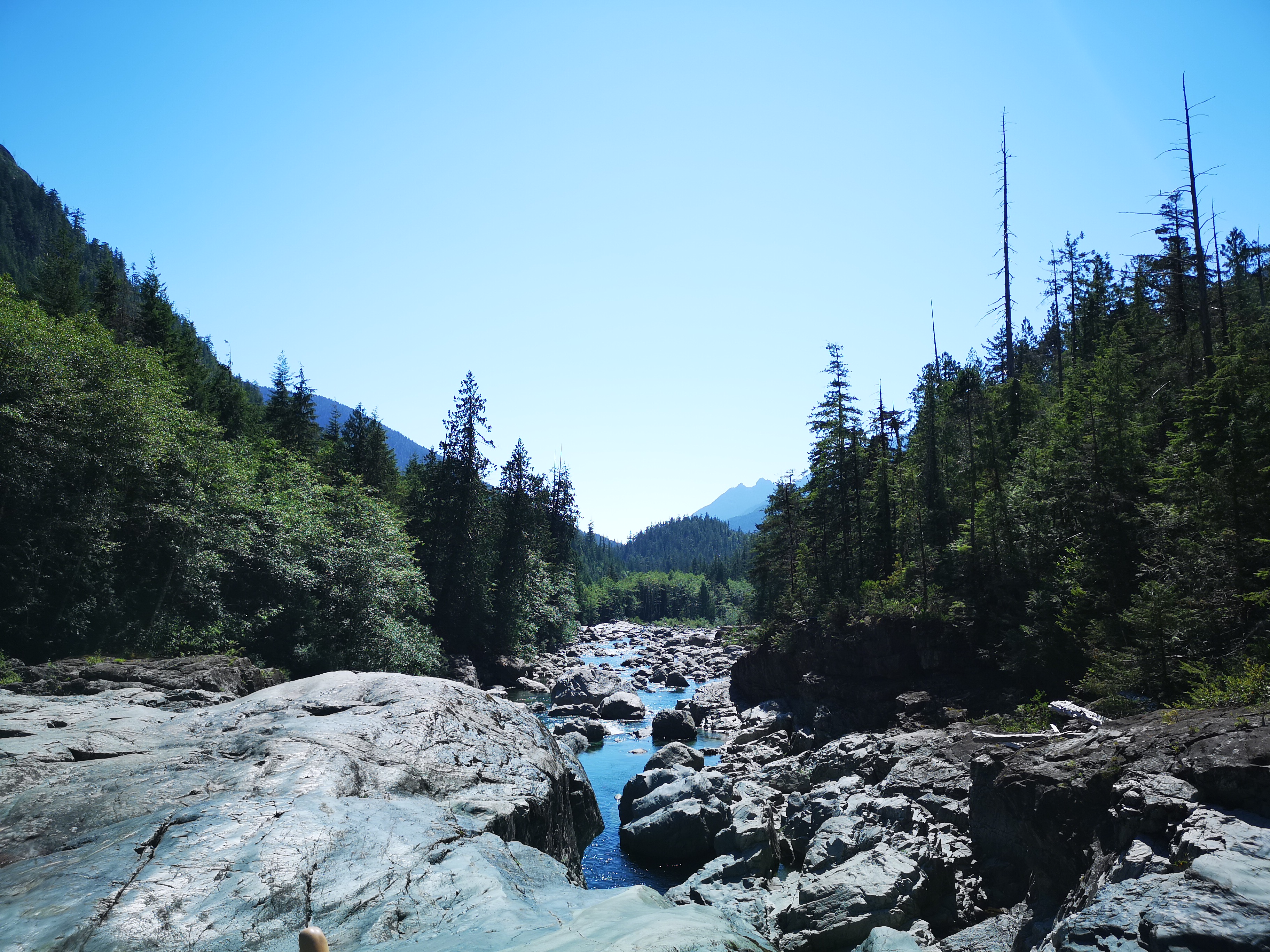 Driving through Vancouver Island