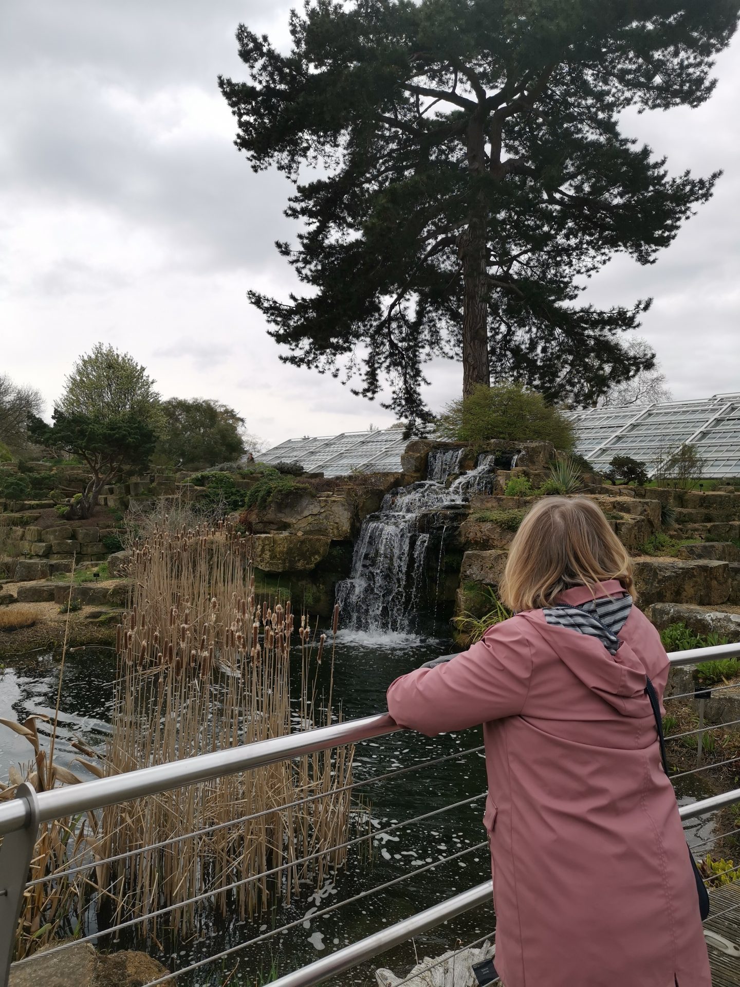 Kew garden viewing gallery