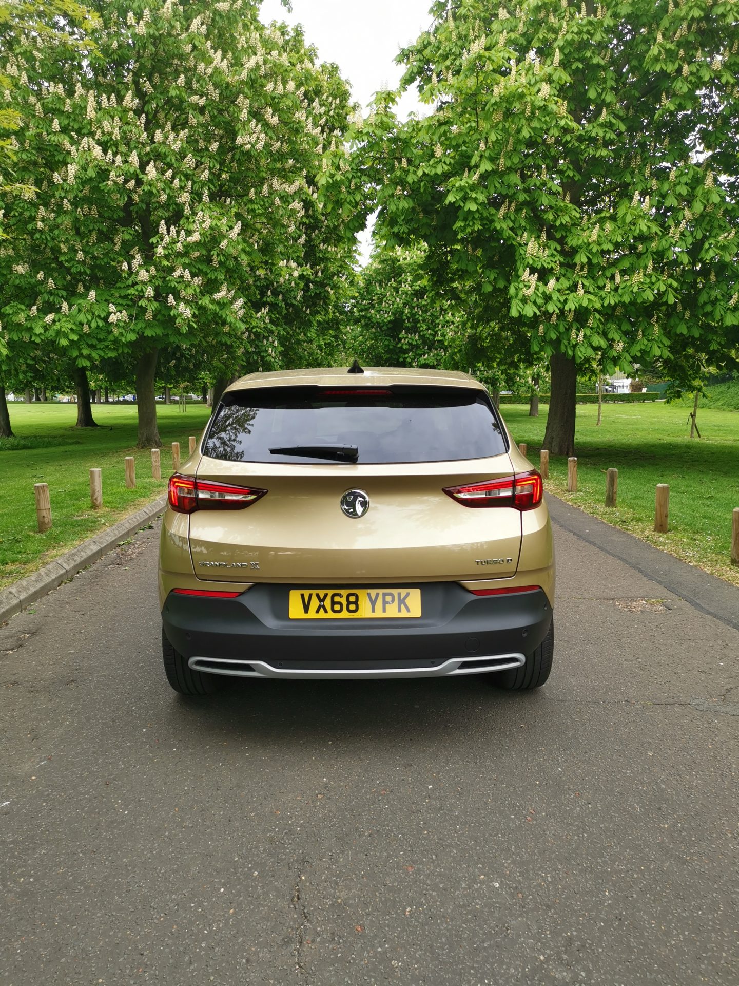 Vauxhall Grandland X SUV