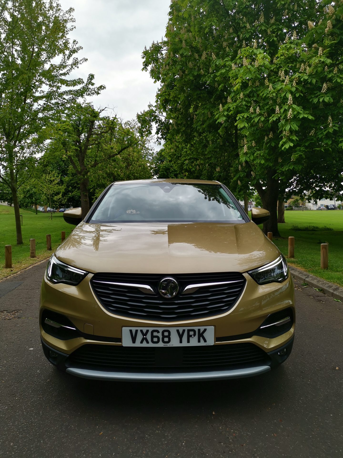 Vauxhall Grandland X SUV