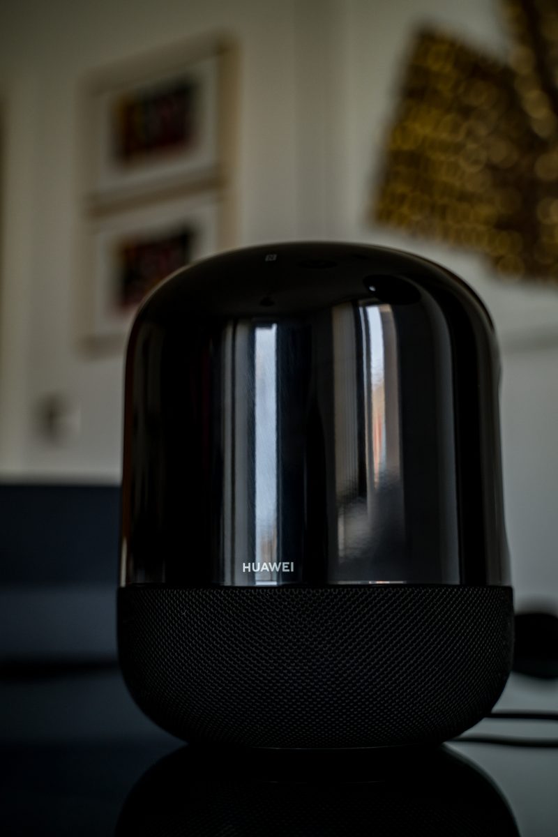 Portrait Speaker View